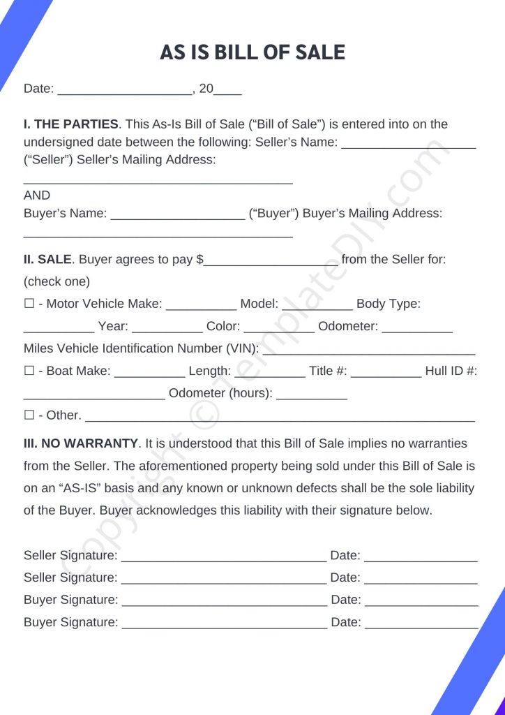 Professional as is bill of sale template instant download
