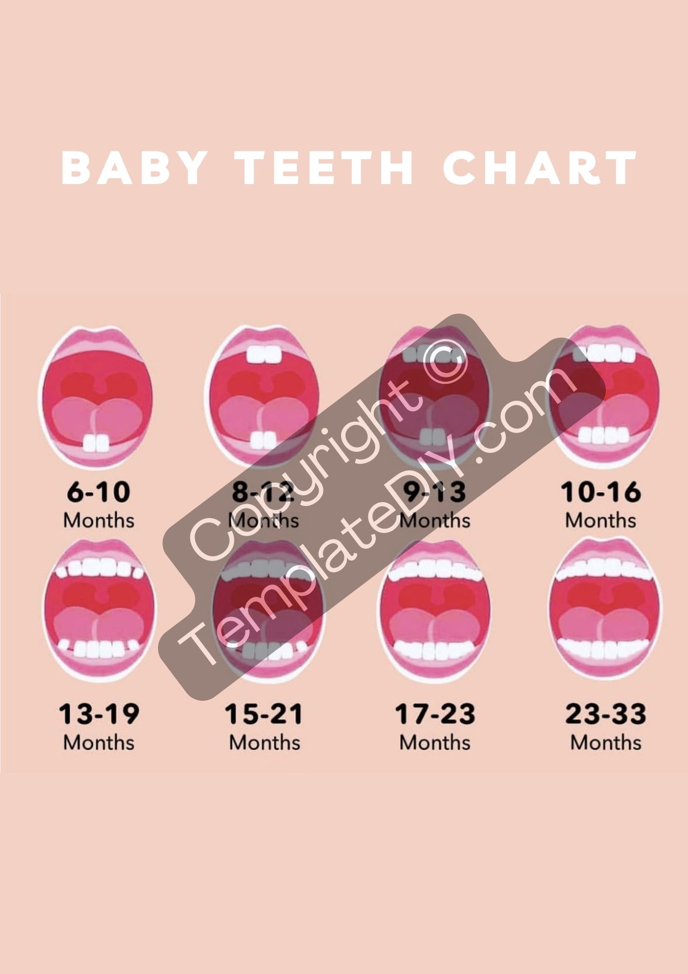 Baby Teeth Chart Editable Printable Ms Excel Template
