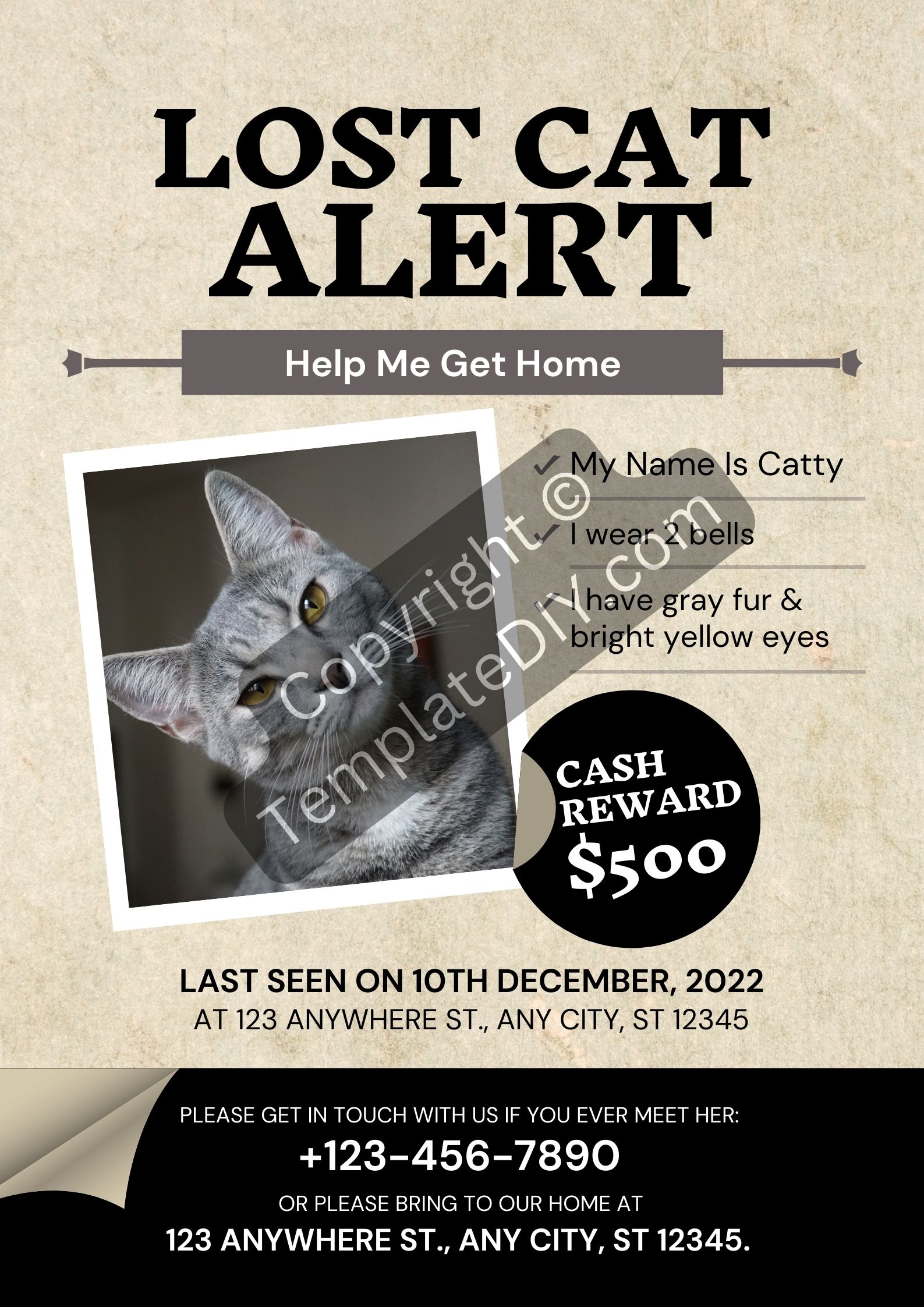 Missing Poster Template Cats Get Lost Lost Cat Poster Template
