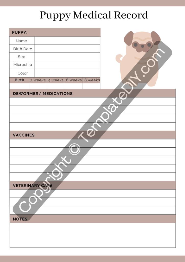 Dog Medical Record Template Printable PDF, Word [Editable]